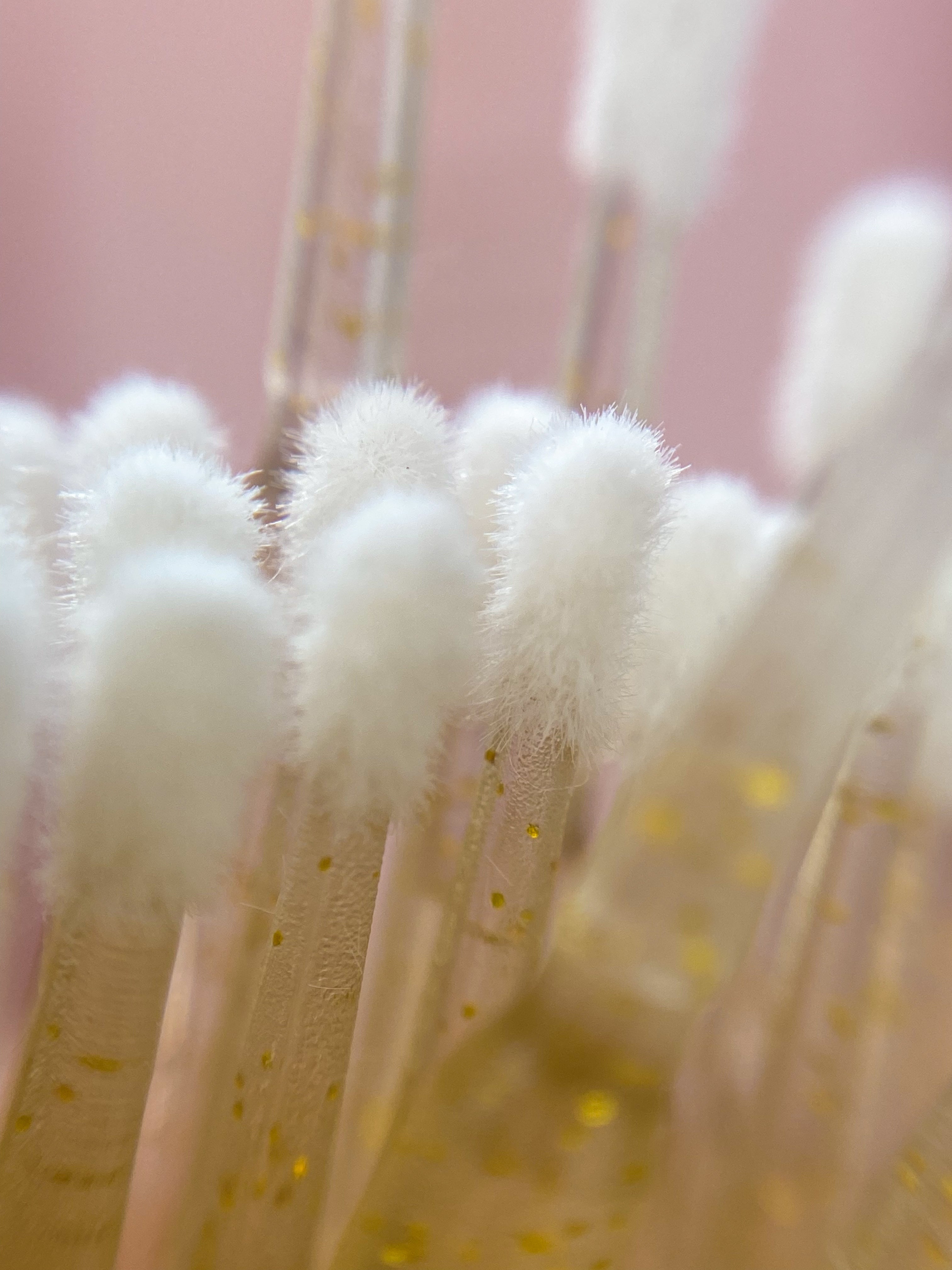 Gold Glitter Micro Applicators | 25 pack