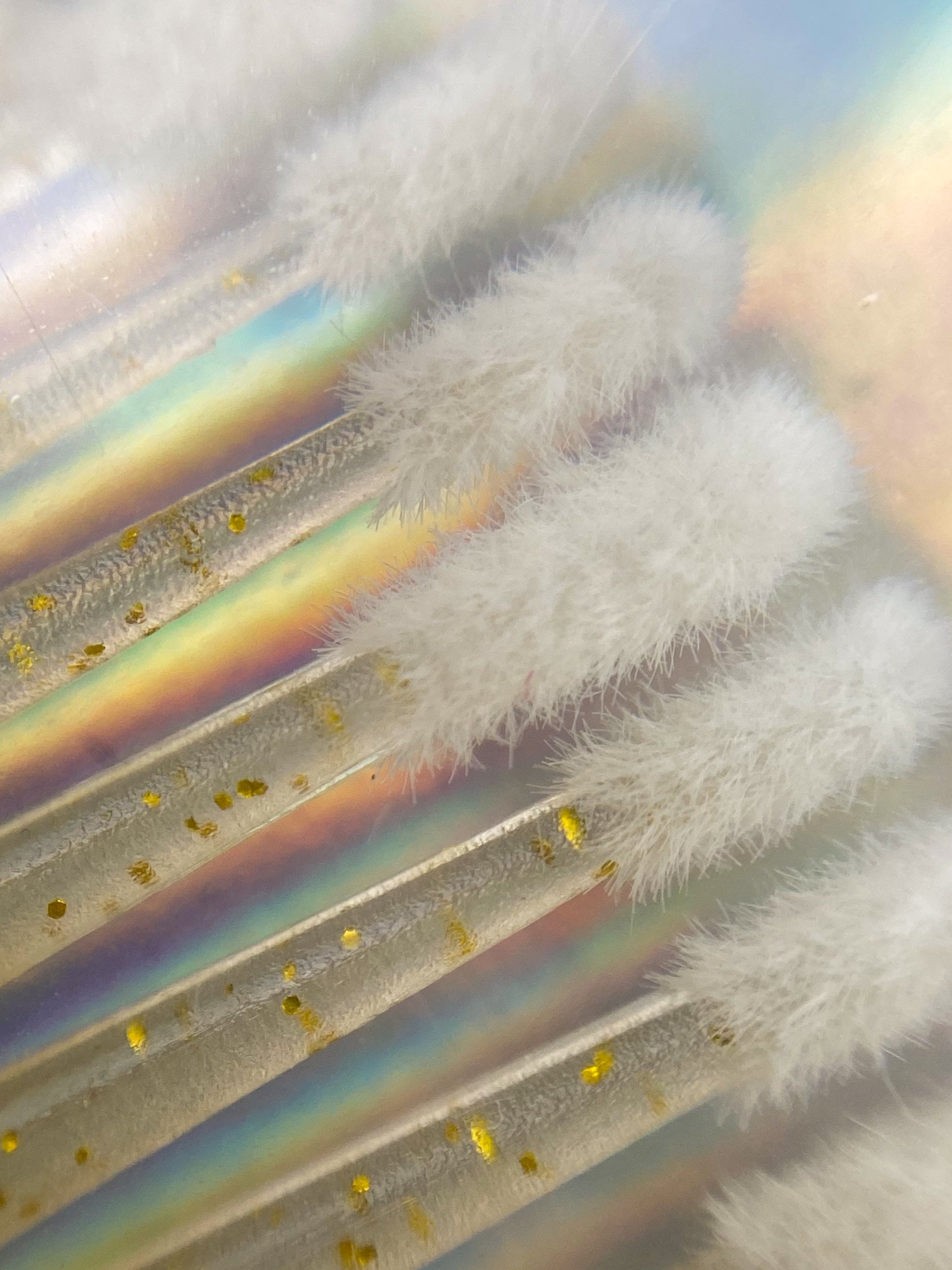 Gold Glitter Micro Applicators | 25 pack